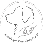 Leonberger Löwe von Rheinhessen